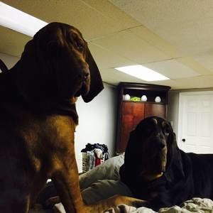 Meet your Posher, Kellie